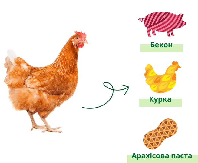 Chicken