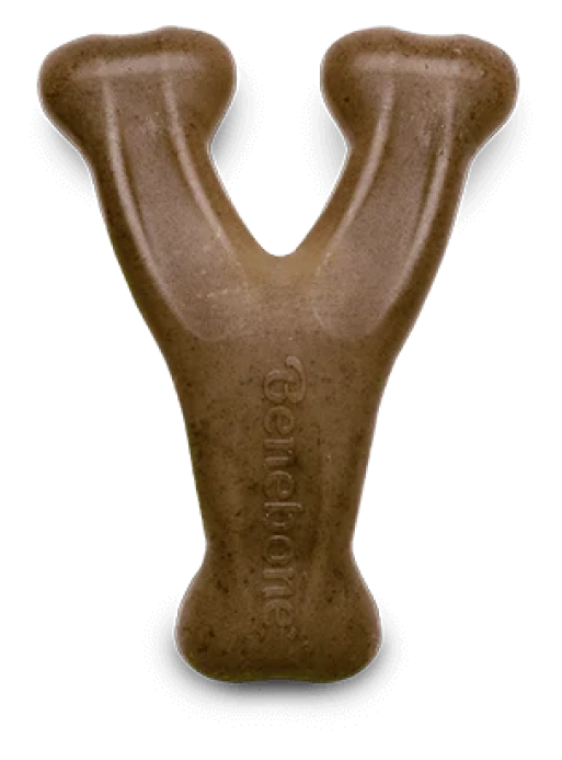 Giant Bone