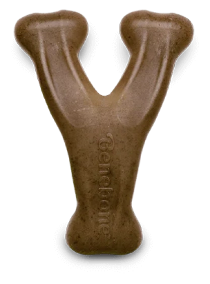 Giant Bone